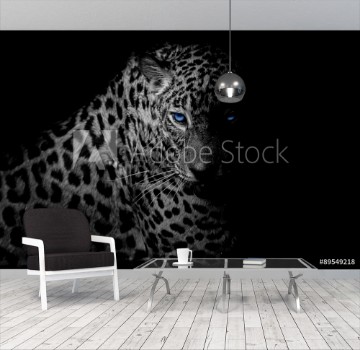 Picture of Black white Leopard portrait isolate on black background